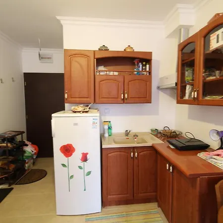 公寓 Studio Arendoo In Amphora 圣弗拉斯